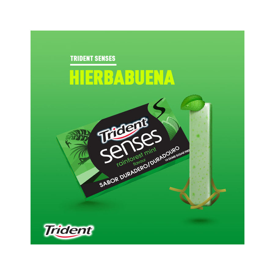 Trident Senses Rainforest 12 units